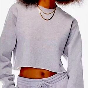 Aritzia Gray Cropped Sweatshirt